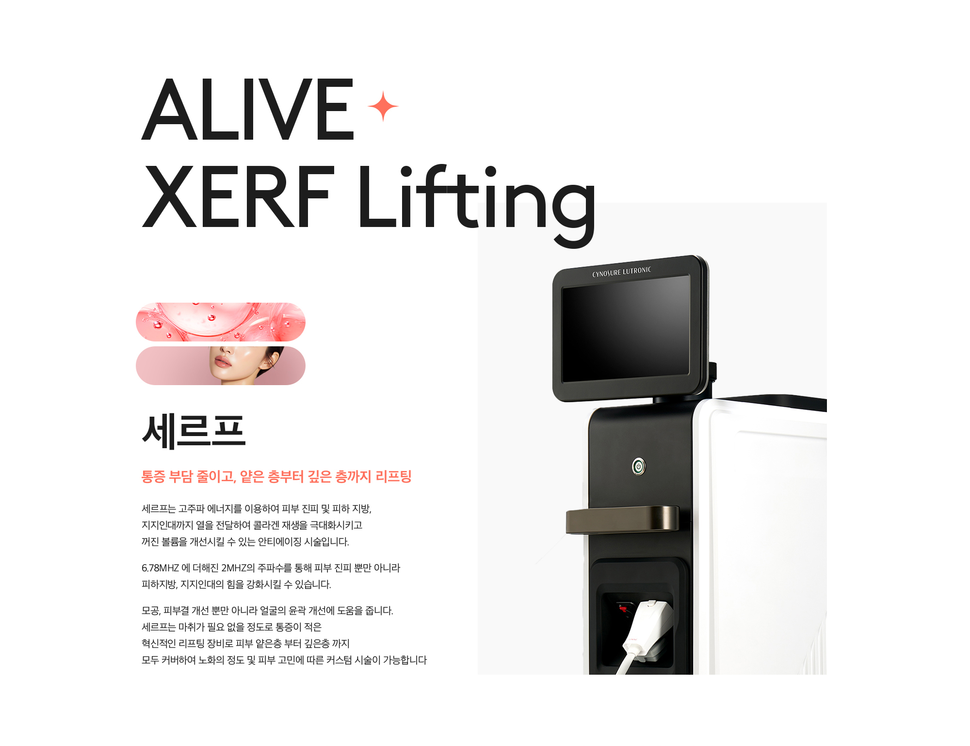 세르프
